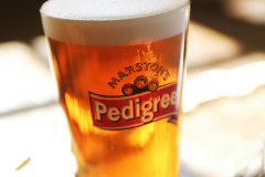 pint and dominoes for WP