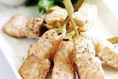 salmon