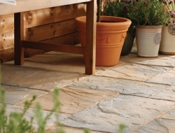 Ancestory-Abbey-Brown_E5I4413-Retouch-1