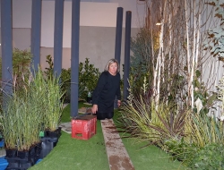 building a big, big garden set