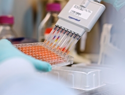 Chemical testing laboratory in USA-industrial photographs
