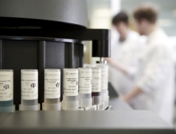laboratories testing sample with men in white lab coats-Industrial photographs