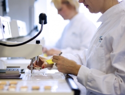 laboratory testing with microscope-industrial photographs
