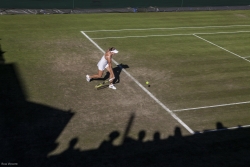 Wimbledon-Tennis - Ross Vincent Photography