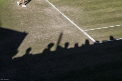 Wimbledon-Tennis - Ross Vincent Photography