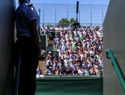 Wimbledon-Tennis - Ross Vincent Photography