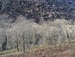Woody bay devon - Ross Vincent Photography