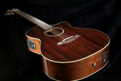 Ferndale-PMT-guitar