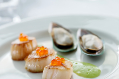 scallops for WP