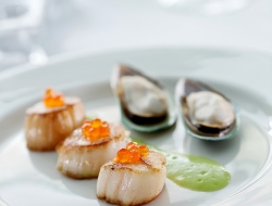 scallops for WP