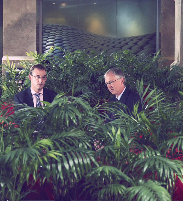 Executives at Price Waterhouse Coopers surrounded by foliage